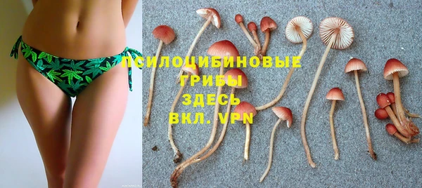 ГАЛЛЮЦИНОГЕННЫЕ ГРИБЫ Богородицк
